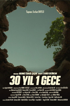 30 YIL 1 GECE poster