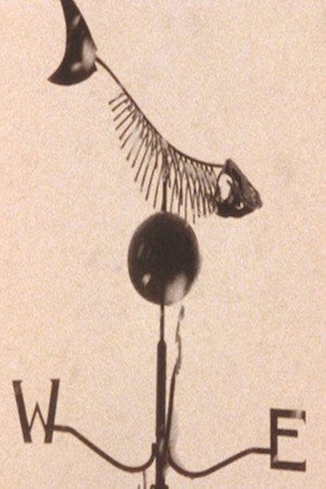 Trout Fly Deep Trout Too poster