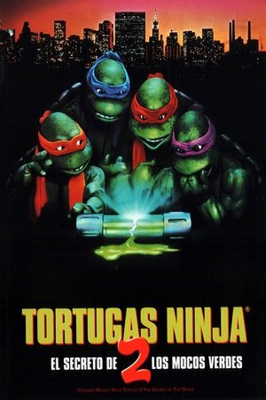 Las tortugas ninja II: El secreto de los mocos verdes