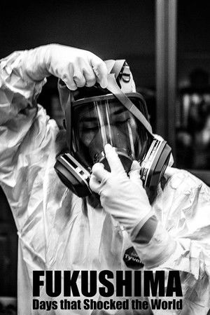 Fukushima: Days That Shocked the World