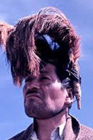 Mapuche poster