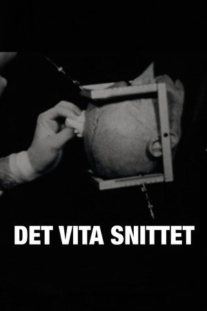 Det vita snittet Det vita snittet