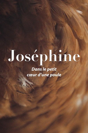Joséphine, dans le petit cœur d'une poule poster