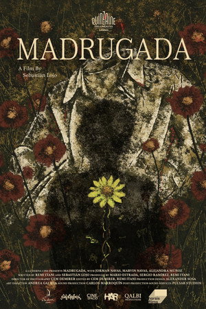 Madrugada poster