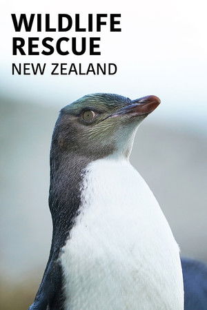 Wildlife Rescue New Zealand