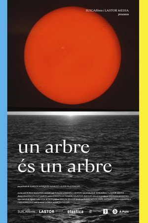 Un arbre és un arbre Un arbre és un arbre