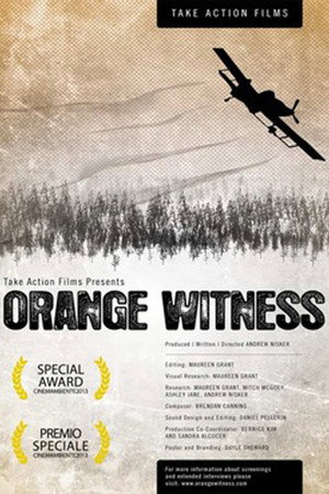 Orange Witness poster