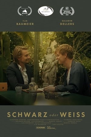 Schwarz oder Weiss