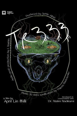 TR333 poster