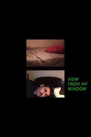 View From My Window poster