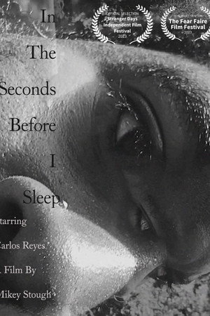 In the Seconds Before I Sleep poster