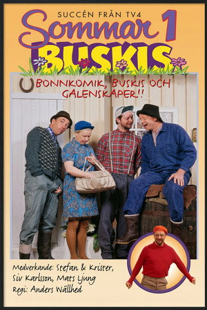 Sommarbuskis 1 poster
