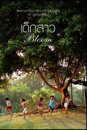 Bloom