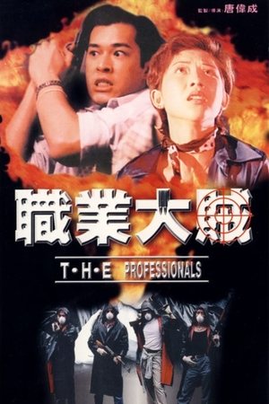 T.H.E. Professionals