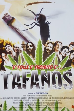 Tafanos