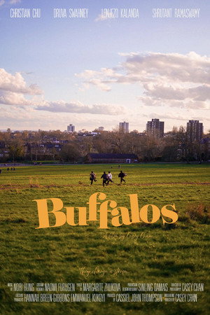 Buffalos poster