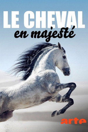 Le cheval en majesté poster