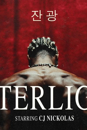Afterlight poster