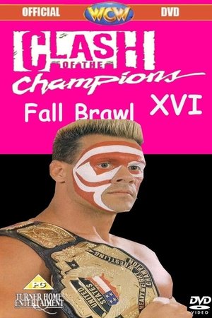 WCW Clash of The Champions XVI: Fall Brawl '91