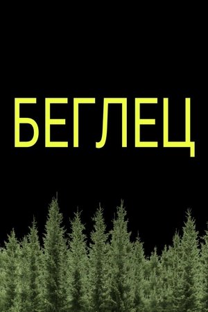 Poster of Stranger in the bush