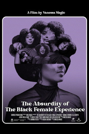 The Absurdity Of The Black Female Experience poster