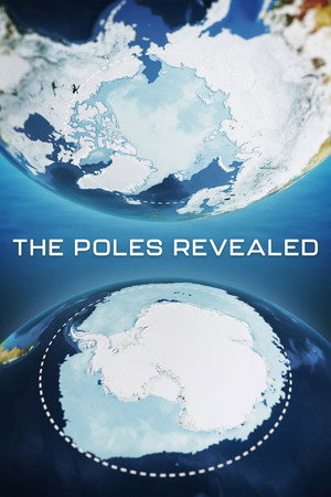 The Poles Revealed