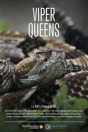 Viper Queens poster