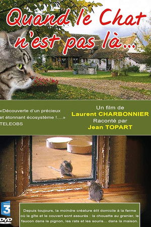 Quand le Chat n'est pas là…