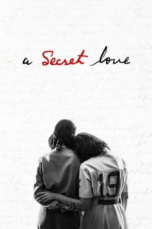 A Secret Love poster