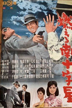 燃える南十字星