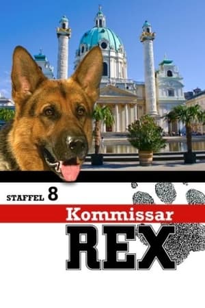Rex, chien flic