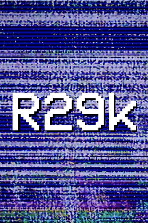 R29k.avi R29k.avi