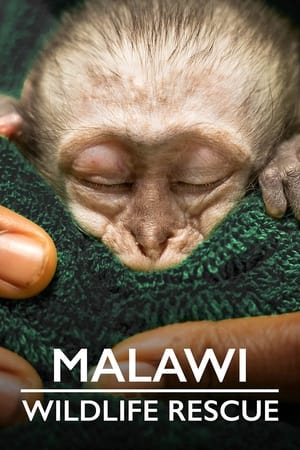 Malawi Wildlife Rescue