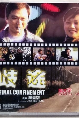 Final Confinement
