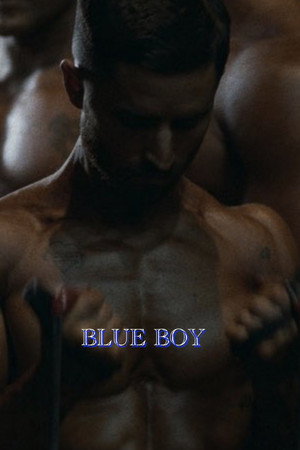 Blue Boy poster