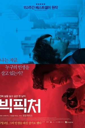빅픽처