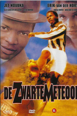 De Zwarte Meteoor