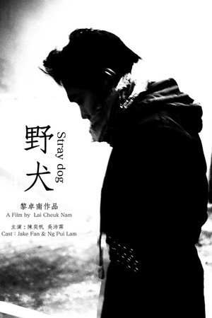 Stray dog poster