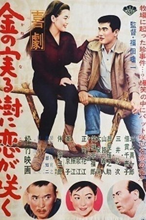 喜劇 金の実る樹に恋が咲く