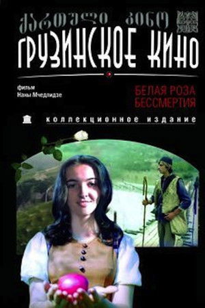 2t96kbkdgqleztpcdomjy877bdj