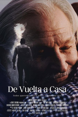 De vuelta a casa poster