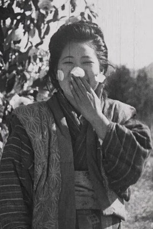 寒椿