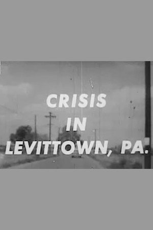 Crisis in Levittown poster