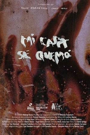 Mi Casa se Quemó