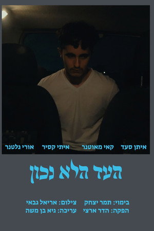 the wrong witness poster