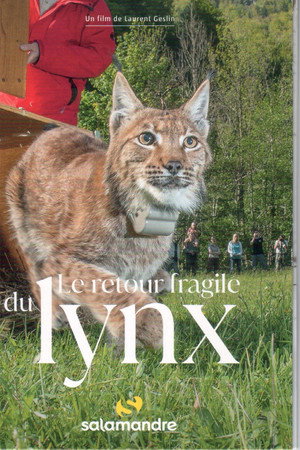 The Fragile Return Of The Lynx poster