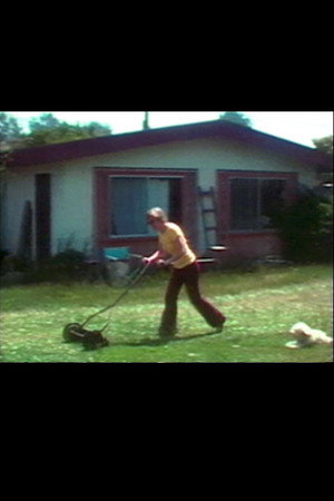 Backyard Economy 2 (Diane Germain Mowing) poster