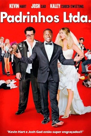 Padrinhos Ltda. (2015) Dublado Online