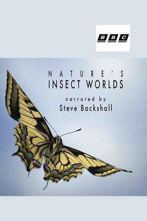 Insect Worlds