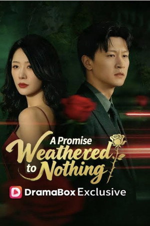 A Promise Weathered to Nothing
